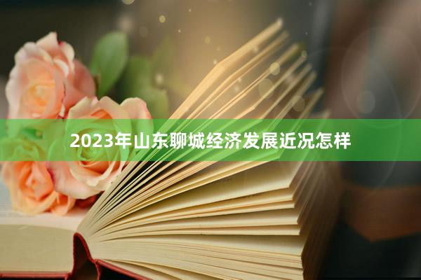 2023年山东聊城经济发展近况怎样